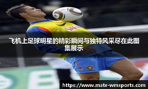 完美体育官网